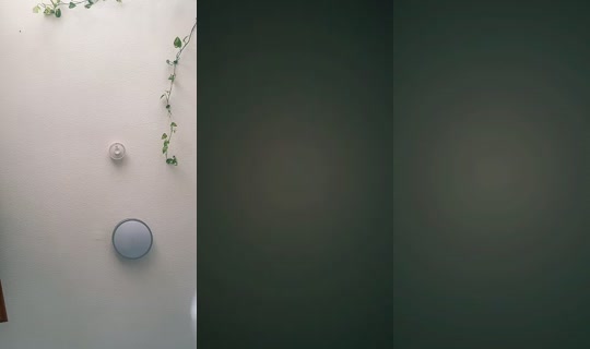 lynxk_ TikTok Live — Sep 13, 2026, 8:43 AM