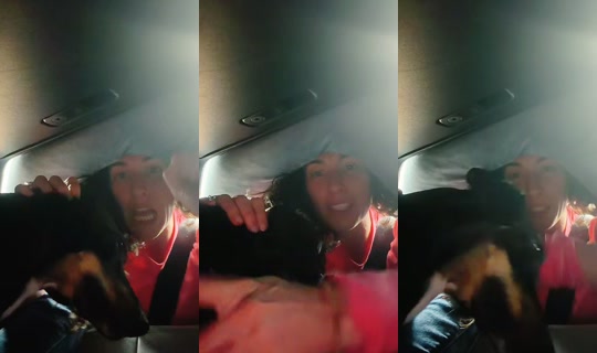 m7115588 TikTok Live — Aug 31, 2026, 9:04 PM