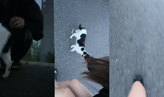 m__nya TikTok Live — Oct 3, 2026, 8:45 PM