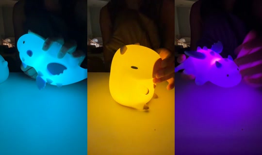 maddidawn_ TikTok Live — Oct 1, 2026, 4:33 PM