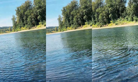 magnificent__meg TikTok Live — Aug 24, 2026, 7:27 PM