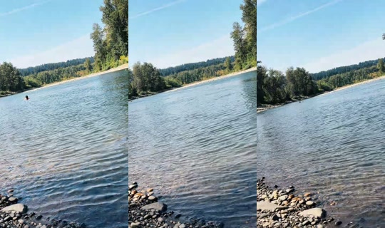magnificent__meg TikTok Live — Aug 24, 2026, 7:42 PM