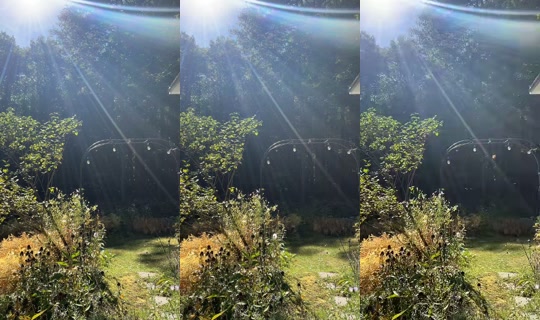 maiaomglol1 TikTok Live — Oct 1, 2026, 5:11 PM