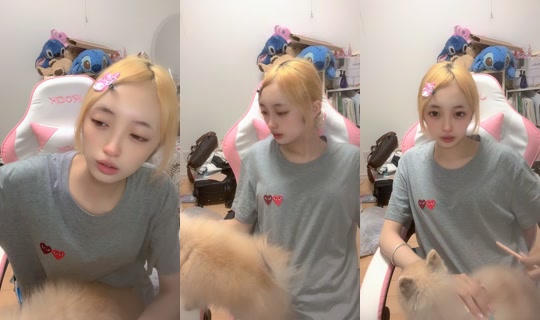 maimai._.dayo TikTok Live — Sep 1, 2026, 12:35 PM