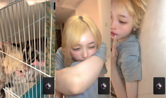 maimai._.dayo TikTok Live — Sep 1, 2026, 2:19 PM