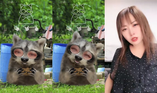 mako.12.29 TikTok Live — Sep 18, 2026, 6:14 PM
