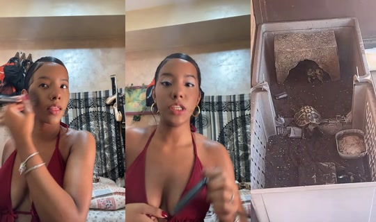 maluudnz TikTok Live — Sep 6, 2026, 12:01 PM