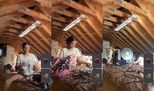 mama_allison711 TikTok Live — Sep 30, 2026, 9:31 PM