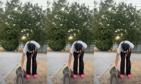 mamberxo0 TikTok Live — Aug 31, 2026, 12:18 AM