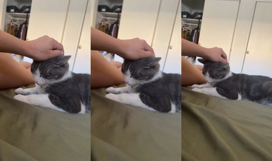 mariamorimugc TikTok Live — Aug 24, 2026, 6:53 PM