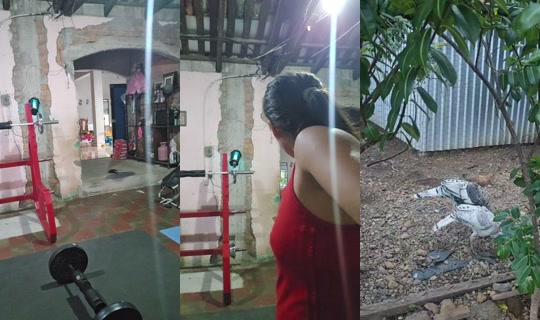 maril.joya TikTok Live — Oct 6, 2026, 10:50 PM