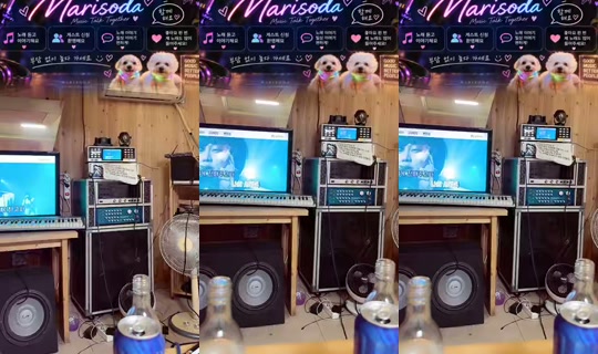 marisoda TikTok Live — Oct 3, 2026, 7:56 PM