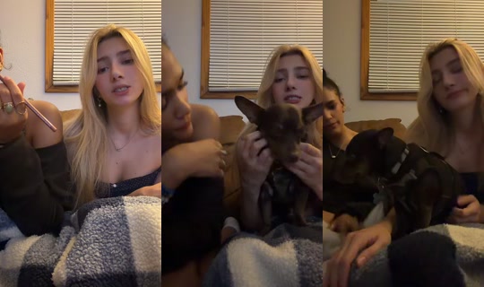 marley3738 TikTok Live — Sep 8, 2026, 6:40 AM