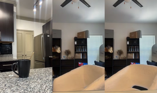 marrontherealtor TikTok Live — Aug 24, 2026, 2:50 PM