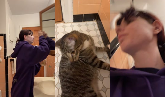 marykoch7 TikTok Live — Oct 8, 2026, 3:14 AM