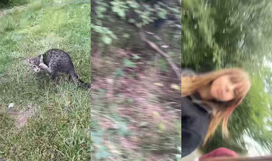 matczakowa204 TikTok Live — Aug 24, 2026, 10:51 AM