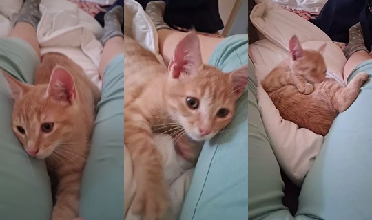 matteomat409 TikTok Live — Aug 30, 2026, 12:26 PM