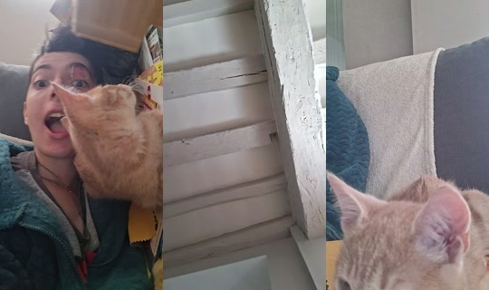 matteomat409 TikTok Live — Sep 1, 2026, 10:22 AM