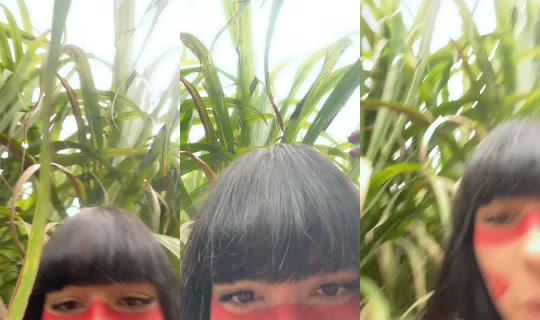 mavis_indiazinha TikTok Live — Aug 26, 2026, 2:23 PM