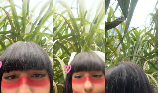 mavis_indiazinha TikTok Live — Aug 26, 2026, 3:14 PM