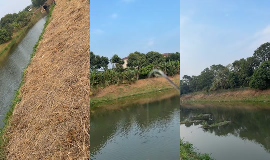 mawwarmaneh TikTok Live — Aug 29, 2026, 9:17 AM