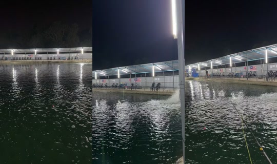 mawwarmaneh TikTok Live — Sep 2, 2026, 4:28 PM