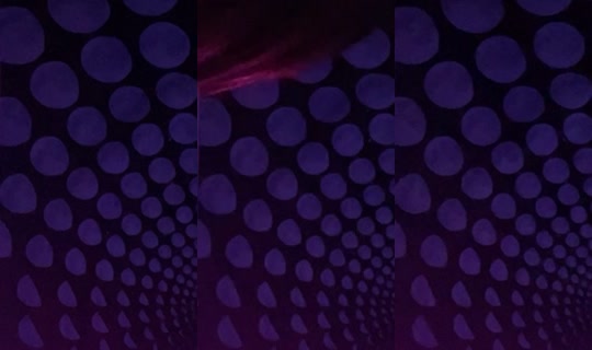 maybe_elianna TikTok Live — Oct 8, 2026, 12:28 PM