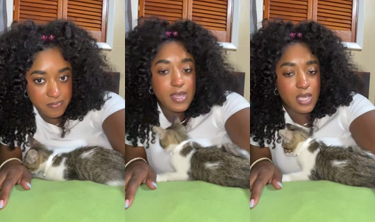 maybedarielidk TikTok Live — Aug 22, 2026, 12:19 AM