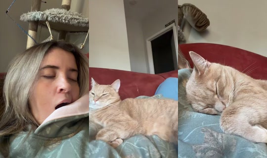 mayceefaulk TikTok Live — Sep 29, 2026, 12:20 PM