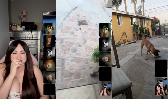 mayimejiah6 TikTok Live — Sep 3, 2026, 1:57 AM
