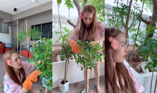 maynatasa TikTok Live — Sep 24, 2026, 6:27 AM
