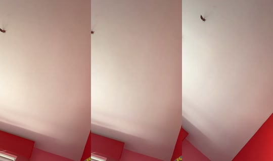 mccullochhazel TikTok Live — Aug 23, 2026, 7:31 AM