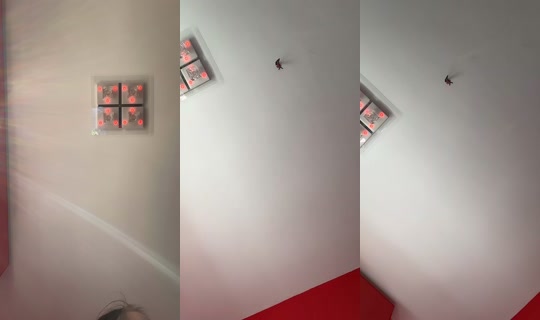 mccullochhazel TikTok Live — Sep 30, 2026, 12:31 PM