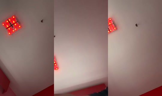 mccullochhazel TikTok Live — Oct 2, 2026, 5:01 PM