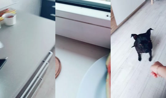 meginky_zivot TikTok Live — Sep 13, 2026, 9:03 AM
