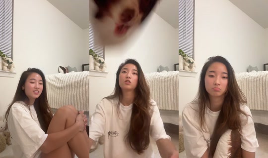 meimeiz312 TikTok Live — Aug 28, 2026, 4:04 AM