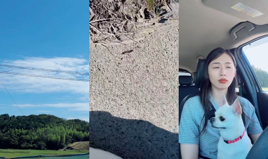 mel.pon.chi TikTok Live — Oct 8, 2026, 3:36 AM