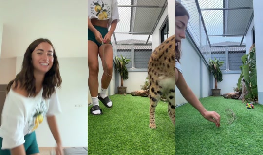 meli_jane_ TikTok Live — Sep 24, 2026, 10:32 AM