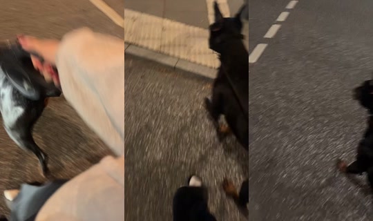 melisovic.og TikTok Live — Sep 23, 2026, 6:07 PM