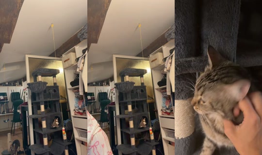 melissafrqofficiel TikTok Live — Oct 4, 2026, 10:27 PM