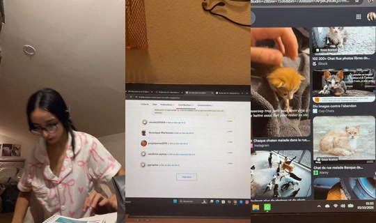 melissafrqofficiel TikTok Live — Oct 4, 2026, 10:42 PM
