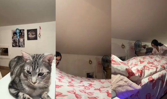 melissafrqofficiel TikTok Live — Oct 4, 2026, 11:17 PM