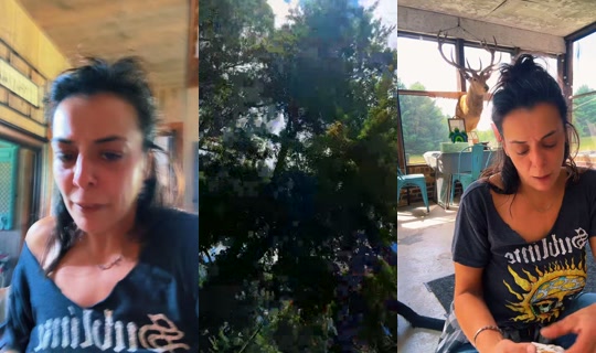 mexcalirose TikTok Live — Aug 24, 2026, 6:22 PM