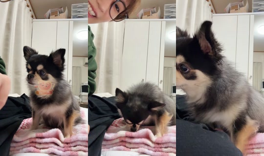 mg_mogy TikTok Live — Sep 23, 2026, 1:12 PM