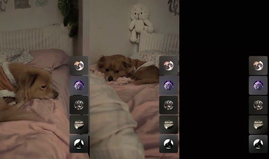 mia_wiwiwi TikTok Live — Sep 13, 2026, 9:00 AM