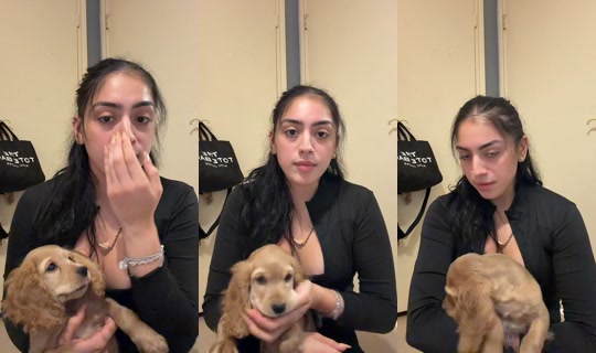 miacheca0 TikTok Live — Sep 21, 2026, 5:25 PM