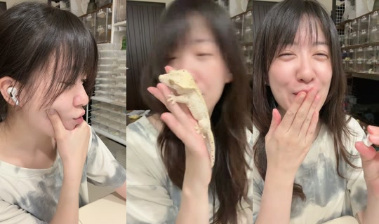 miandgeckoss TikTok Live — Sep 2, 2026, 6:35 PM