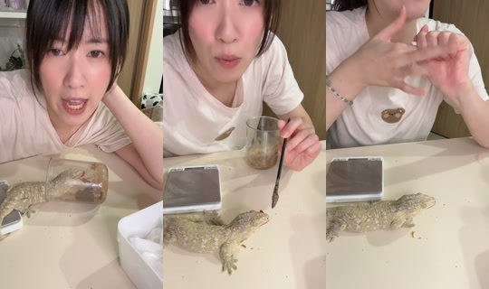 miandgeckoss TikTok Live — Sep 12, 2026, 3:38 PM