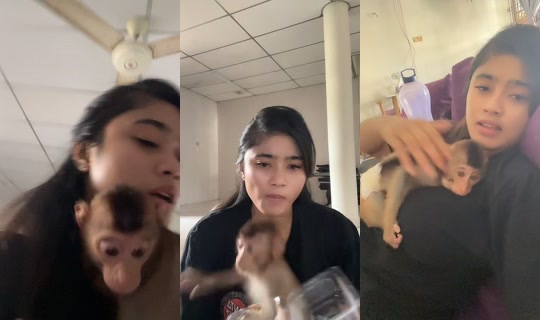 miapikaso6 TikTok Live — Aug 24, 2026, 7:22 AM