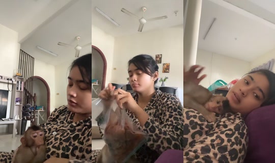 miapikaso6 TikTok Live — Aug 28, 2026, 2:12 AM